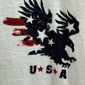 Crazy Shirt Patriotic T-Shirt